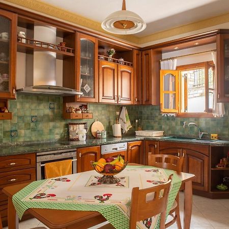 Violetta's House Παραδοσιακή Βίλα στην Πορταριά Εξωτερικό φωτογραφία