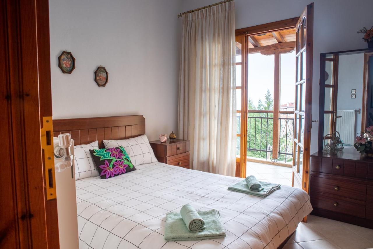 Violetta's House Παραδοσιακή Βίλα στην Πορταριά Εξωτερικό φωτογραφία