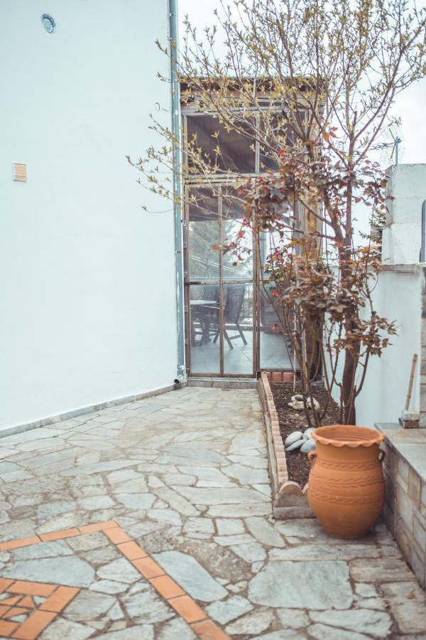 Violetta's House Παραδοσιακή Βίλα στην Πορταριά Εξωτερικό φωτογραφία